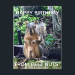 Happy Birthday from Deez Nuts Funny Squirrel Photo Postcard<br><div class="desc">Happy Birthday from DEEZ NUTS! A hilarious squirrel play on words joke about his nuts. Crude humor on an adult's birthday postcard. Make your friends laugh with this pop culture quote.</div>