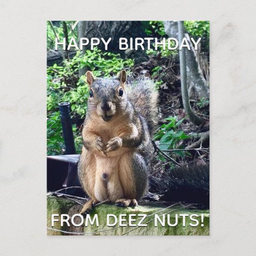 Happy Birthday from Deez Nuts Funny Squirrel Photo