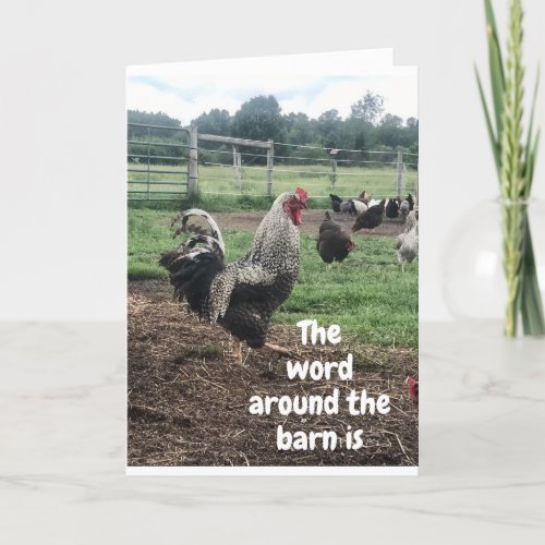 HAPPY BIRTHDAY from DOWN ON THE FARM CARD