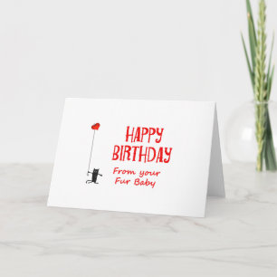 Happy Birthday from fur baby,cat and love heart. Card