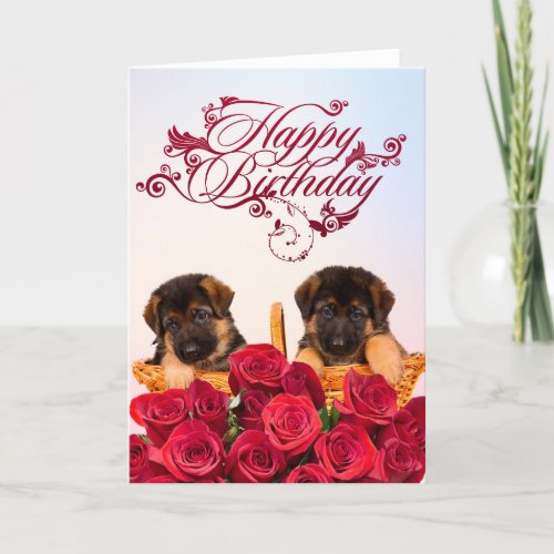 Happy Birthday from German Shepherd Dog Card