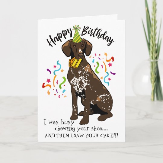 Happy Birthday from German Short Haired Pointer Card | Zazzle.com