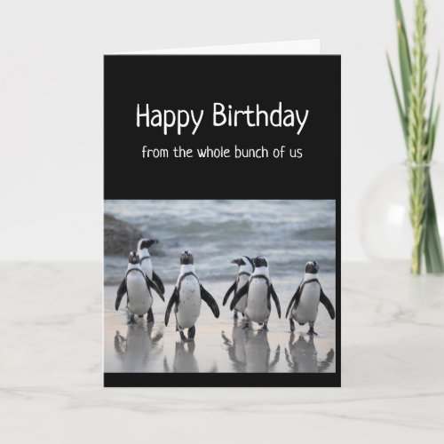 Happy Birthday From Group Whole Bunch Penguins Card