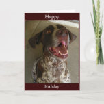 Happy Birthday From Happy Dog Card at Zazzle