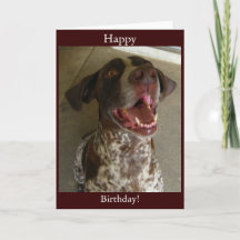 Happy Birthday from Happy Dog