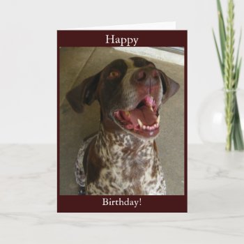 Happy Birthday From Happy Dog Card by busycrowstudio at Zazzle