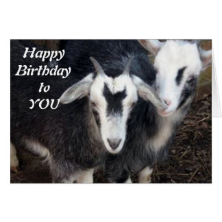 Goat Couple Cards, Goat Couple Card Templates, Postage, Invitations ...