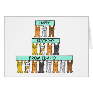 Happy Birthday from Idaho Cartoon Cats Cards