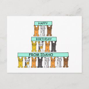 Happy Birthday from Idaho Cartoon Cats Postcard
