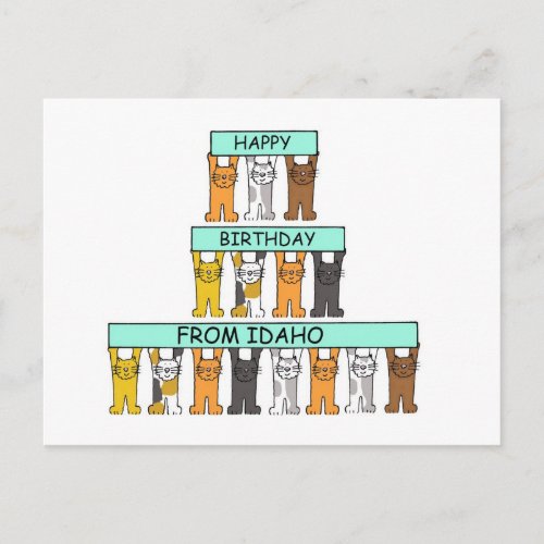 Happy Birthday from Idaho Cartoon Cats Postcard