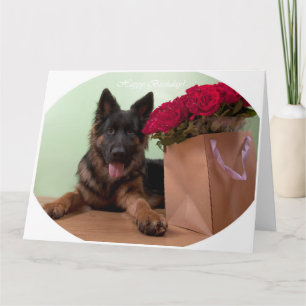 Happy birthday from Max Card