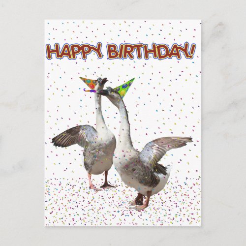 Happy Birthday From Party Animals Postcard