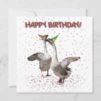Happy Birthday! From Party Geese Invitation by gravityx9 at Zazzle