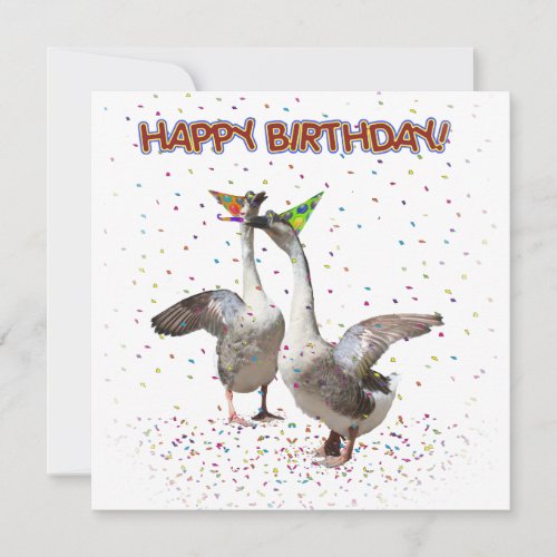 Happy Birthday From Party Geese Invitation