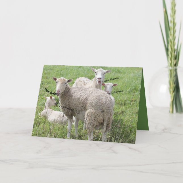 Happy Birthday from Sheep In a Green Field Card (Front)