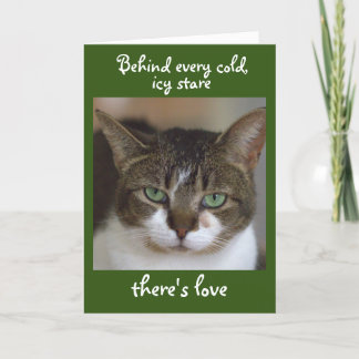 Happy Birthday From the Cat Card