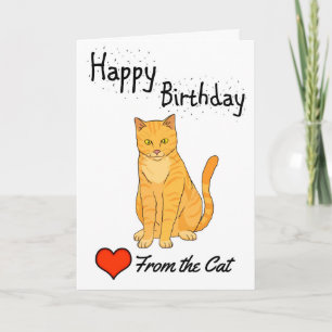 Happy Birthday from the Cat Card