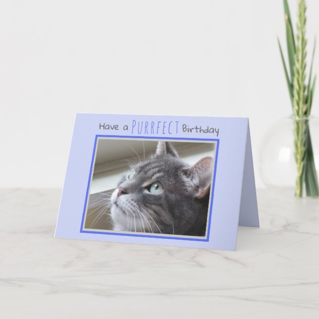Happy Birthday from the Cat Card (Front)