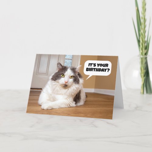 Happy Birthday From The Cat Humor  Holiday Card