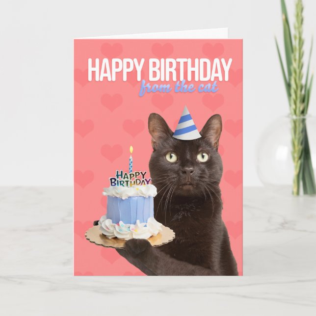 Happy Birthday From The Cat Kitty With Cake Humor Holiday Card (Front)