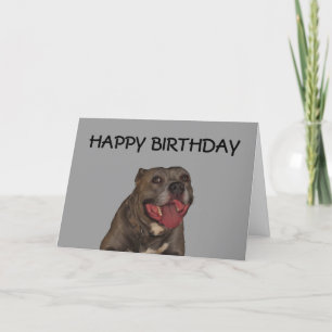 Happy Birthday From The Dog Card