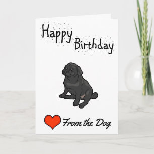 Happy Birthday from the Dog Card