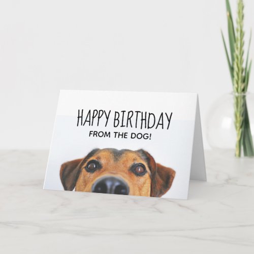 Happy Birthday  From the Dog Card