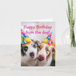 Happy Birthday from the Dog Card