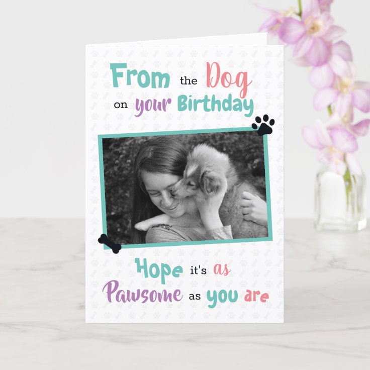 Happy Birthday from the Dog Card Zazzle