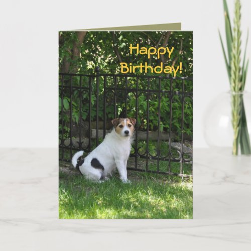 Happy Birthday from the Dog Card