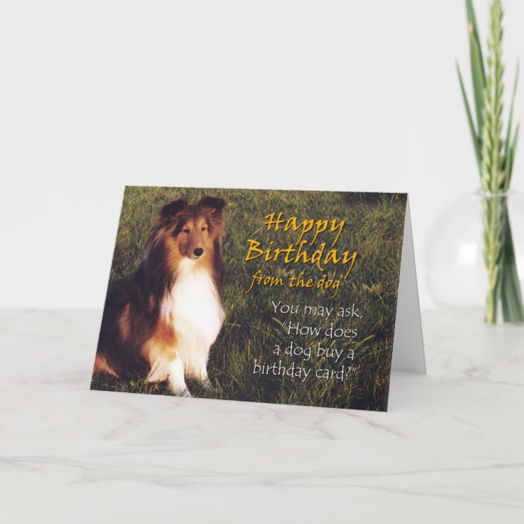 Happy Birthday from the Dog Card Zazzle