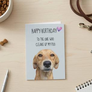 Happy Birthday From The Dog Funny Humor Card