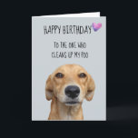 Happy Birthday From The Dog Funny Humor Card<br><div class="desc">This design was created though digital art. It may be personalized in the area provide or customizing by choosing the click to customize further option and changing the name, initials or words. You may also change the text color and style or delete the text for an image only design. Contact...</div>