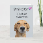 Happy Birthday From The Dog Funny Humor Card<br><div class="desc">This design was created though digital art. It may be personalized in the area provide or customizing by choosing the click to customize further option and changing the name, initials or words. You may also change the text color and style or delete the text for an image only design. Contact...</div>