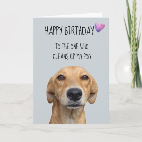 Happy Birthday From The Dog Funny Humor Card
