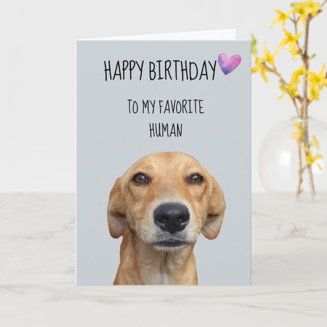 Happy Birthday From The Dog To Favorite Human Card Zazzle