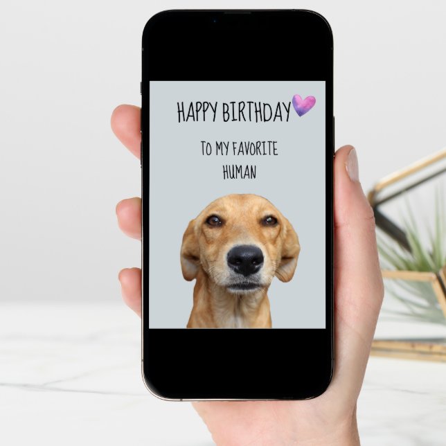 Happy Birthday From The Dog To Favorite Human Card (Front Digital)