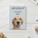 Happy Birthday From The Dog To Favorite Human Card<br><div class="desc">This design was created though digital art. It may be personalized in the area provide or customizing by choosing the click to customize further option and changing the name, initials or words. You may also change the text color and style or delete the text for an image only design. Contact...</div>