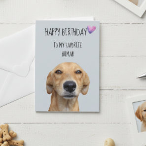 Happy Birthday From The Dog To Favorite Human Card
