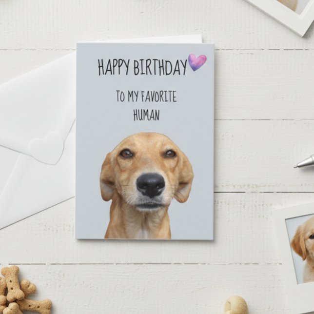 Happy Birthday From The Dog To Favorite Human Card (Creator Uploaded)