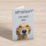 Happy Birthday From The Dog To Favorite Human Card<br><div class="desc">This design was created though digital art. It may be personalized in the area provide or customizing by choosing the click to customize further option and changing the name, initials or words. You may also change the text color and style or delete the text for an image only design. Contact...</div>