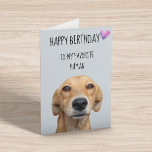 Happy Birthday From The Dog To Favorite Human Card