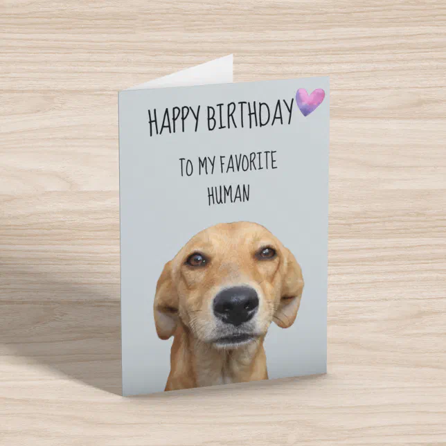 Happy Birthday From The Dog To Favorite Human Card | Zazzle