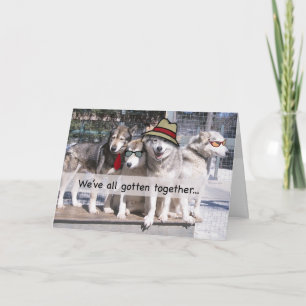 Happy Birthday from the Group, Huskies Card