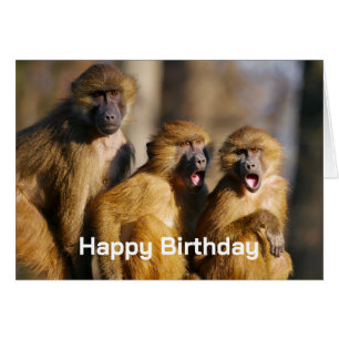 Happy Birthday from the Group Like Monkeys Cards