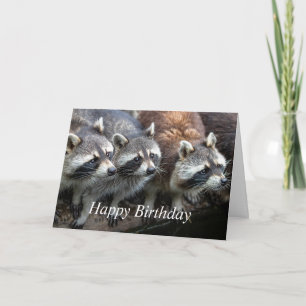 Happy Birthday from the group Raccoon Fun Card