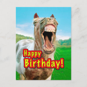 Happy Birthday from the happy horse Postcard