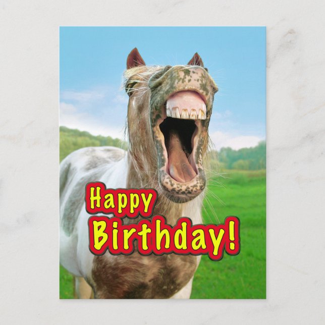 Happy Birthday from the happy horse Postcard (Front)