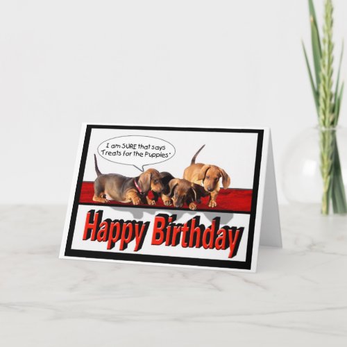 Happy Birthday from the puppies Card