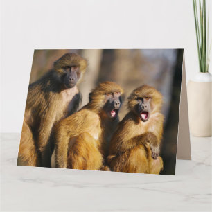 HAPPY BIRTHDAY FROM THE THREE 3 OF US MONKEY CARD